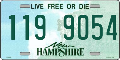 NH license plate 1199054