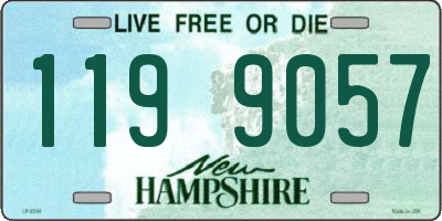 NH license plate 1199057