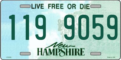 NH license plate 1199059