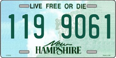 NH license plate 1199061