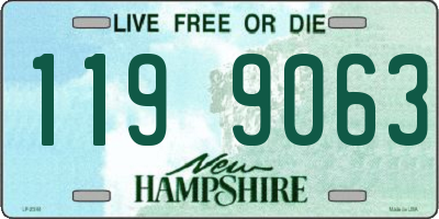 NH license plate 1199063