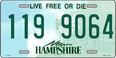 NH license plate 1199064