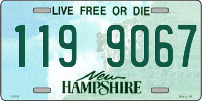 NH license plate 1199067