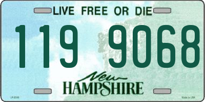 NH license plate 1199068