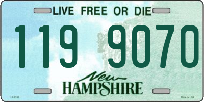 NH license plate 1199070