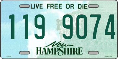 NH license plate 1199074