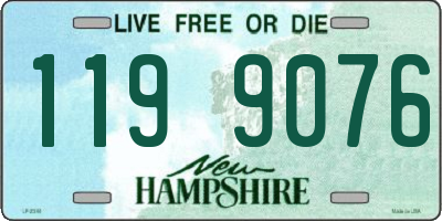 NH license plate 1199076