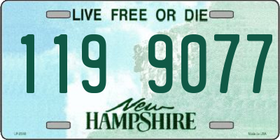 NH license plate 1199077