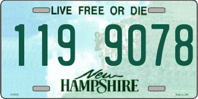 NH license plate 1199078