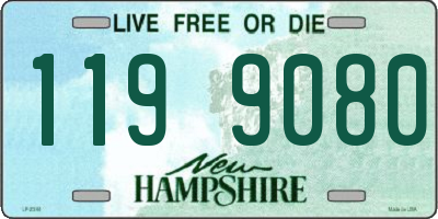 NH license plate 1199080