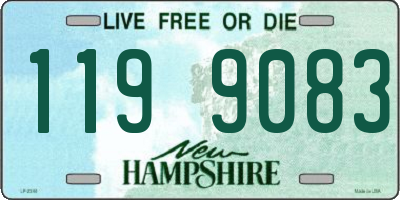 NH license plate 1199083