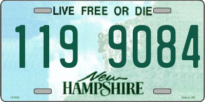 NH license plate 1199084