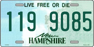 NH license plate 1199085