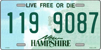 NH license plate 1199087