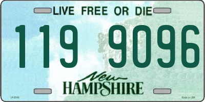 NH license plate 1199096