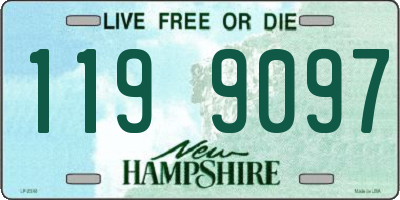 NH license plate 1199097