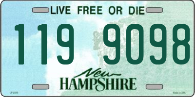 NH license plate 1199098