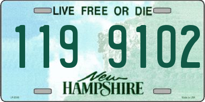 NH license plate 1199102