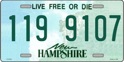NH license plate 1199107