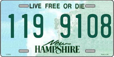 NH license plate 1199108