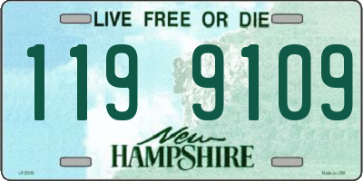 NH license plate 1199109