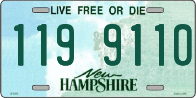 NH license plate 1199110