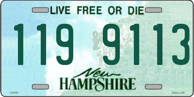 NH license plate 1199113
