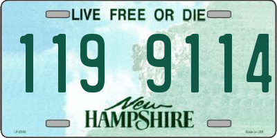 NH license plate 1199114