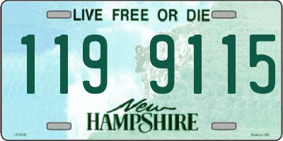 NH license plate 1199115