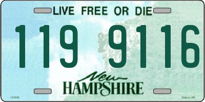NH license plate 1199116