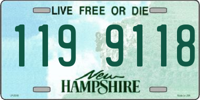 NH license plate 1199118