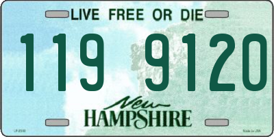 NH license plate 1199120