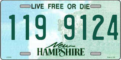 NH license plate 1199124