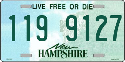 NH license plate 1199127