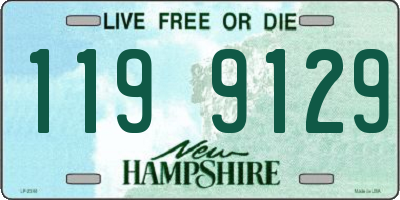 NH license plate 1199129
