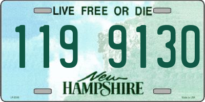 NH license plate 1199130