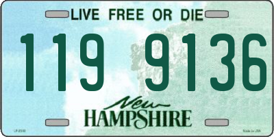 NH license plate 1199136