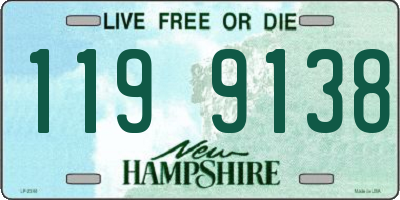 NH license plate 1199138