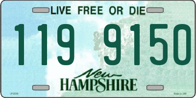 NH license plate 1199150