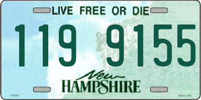 NH license plate 1199155