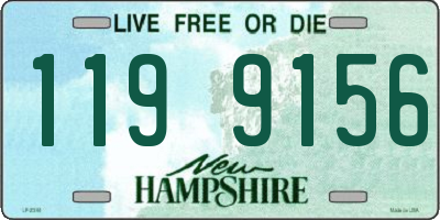 NH license plate 1199156