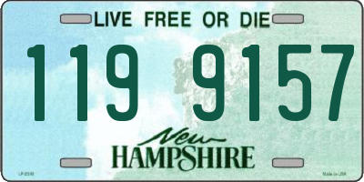 NH license plate 1199157