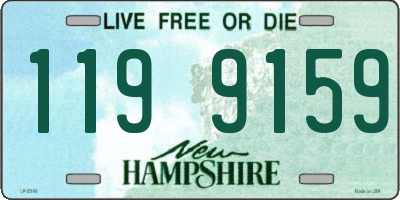 NH license plate 1199159