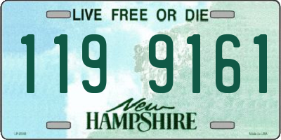 NH license plate 1199161