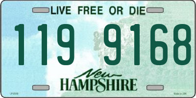 NH license plate 1199168