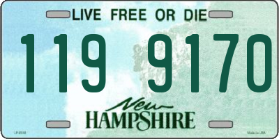 NH license plate 1199170