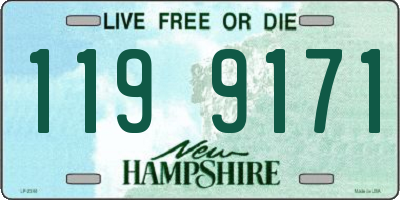 NH license plate 1199171