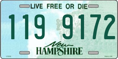 NH license plate 1199172