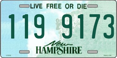 NH license plate 1199173