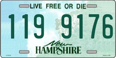 NH license plate 1199176